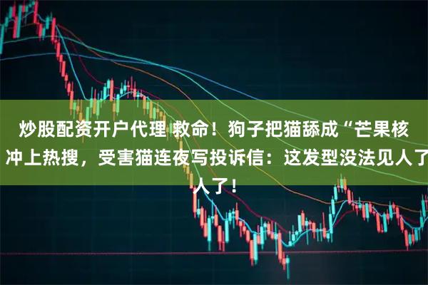 炒股配资开户代理 救命！狗子把猫舔成“芒果核”冲上热搜，受害猫连夜写投诉信：这发型没法见人了！